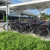 Fietsen huren in Den Haag voor groepen - Afbeelding 2