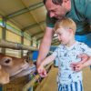 Schoolreisje Volendam - nummer 1 uitje exclusief voor scholen - Afbeelding 6