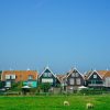 Marken Express enkele reis bootticket - Afbeelding 3