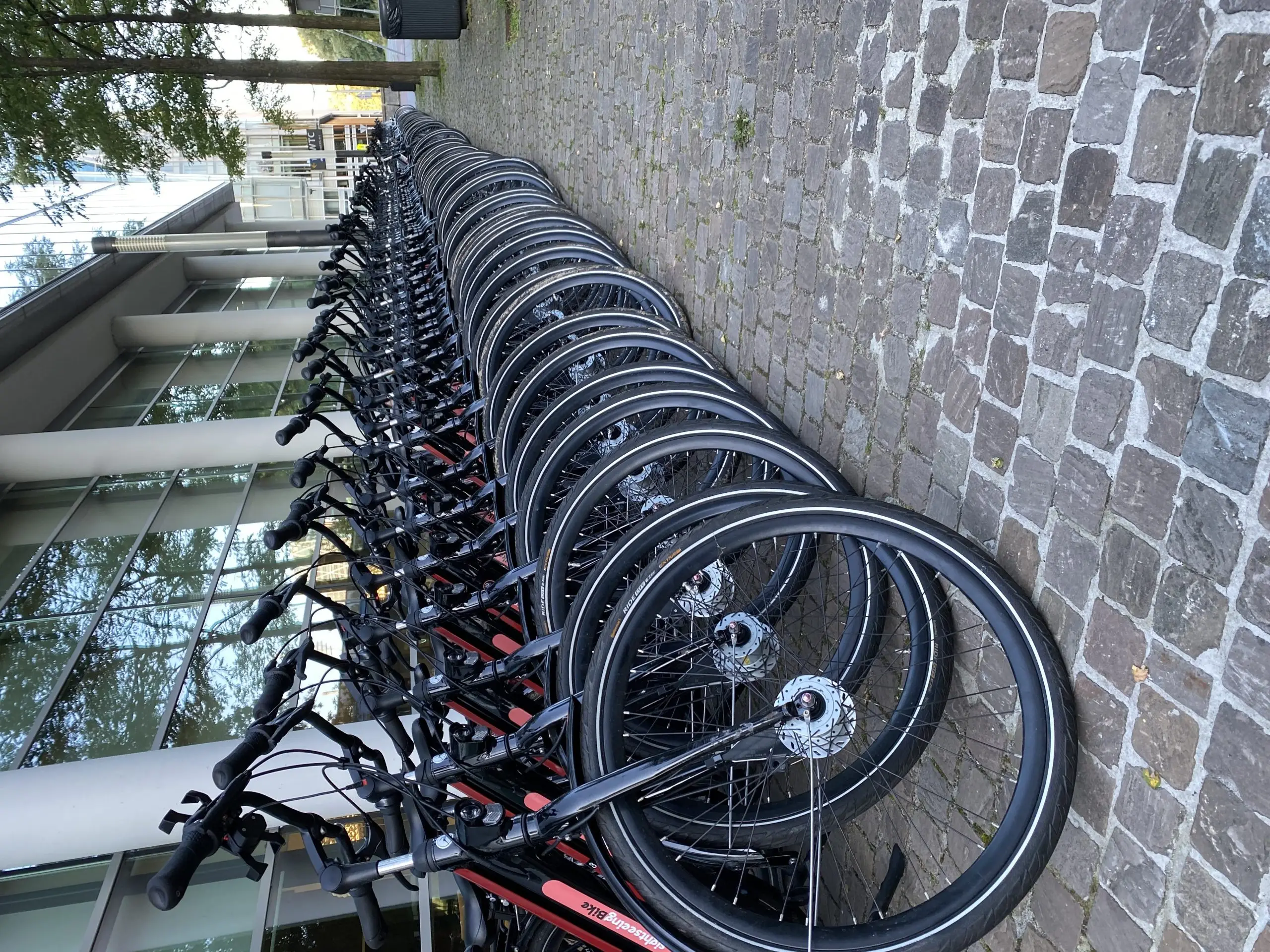 Bike rental for groups in Amsterdam