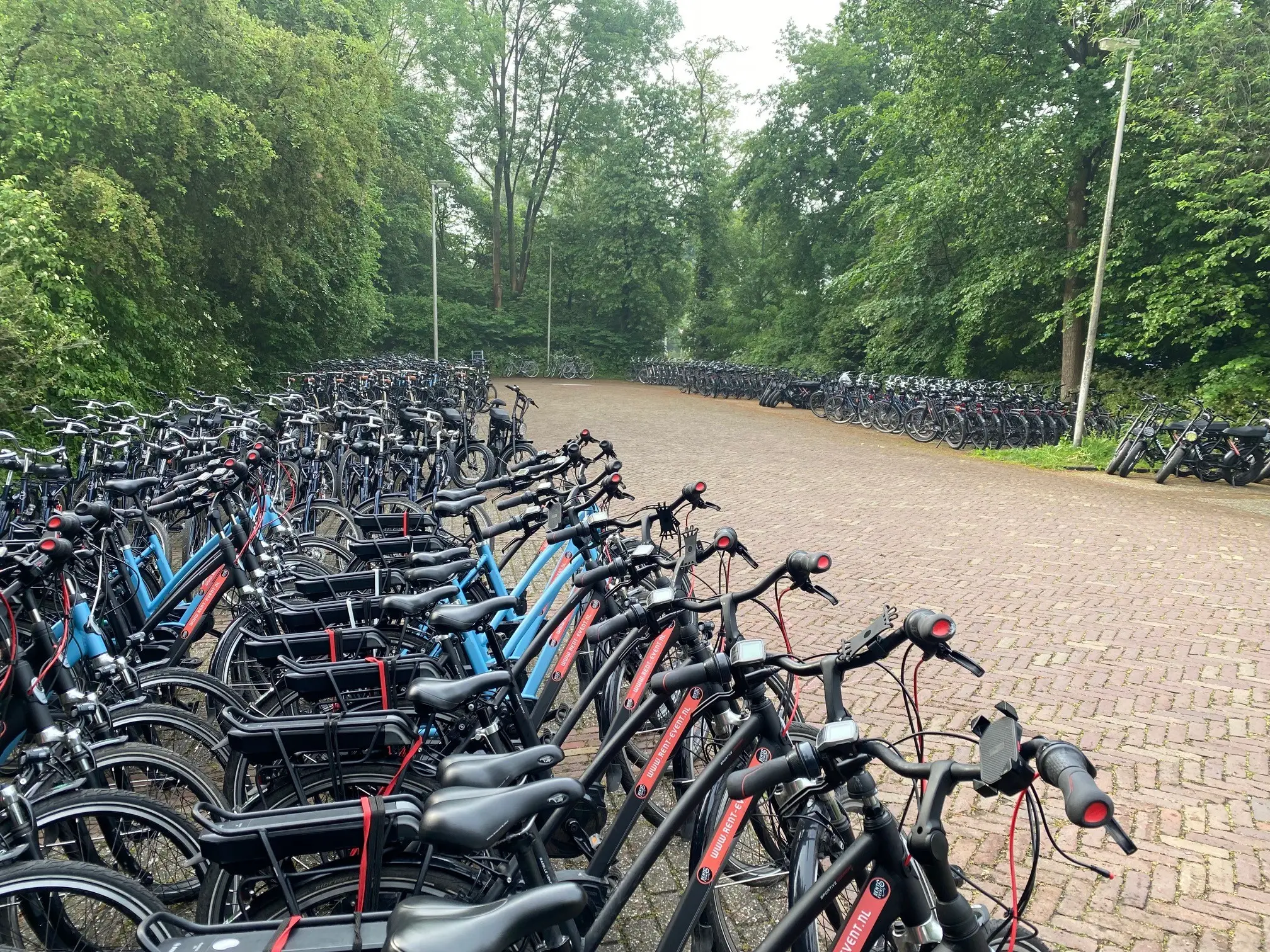 Group hire Volendam